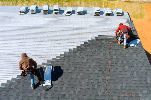 Best Roof Repair Services  in Port Angeles, WA